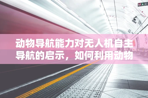 动物导航能力对无人机自主导航的启示，如何利用动物学知识优化无人机导航科技？