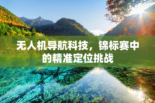 无人机导航科技，锦标赛中的精准定位挑战