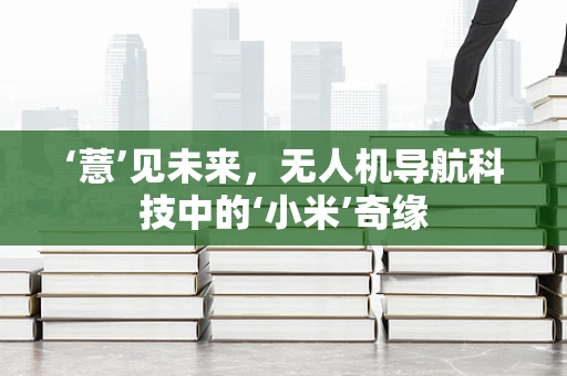 ‘薏’见未来，无人机导航科技中的‘小米’奇缘