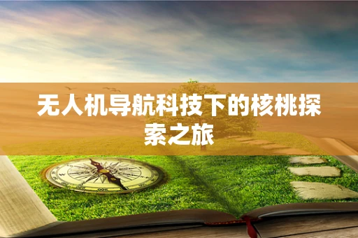 无人机导航科技下的核桃探索之旅