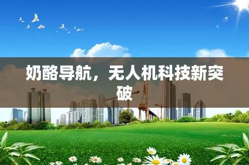 奶酪导航，无人机科技新突破