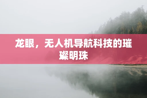 龙眼，无人机导航科技的璀璨明珠