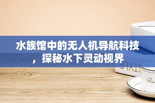 水族馆中的无人机导航科技，探秘水下灵动视界