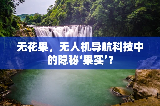 无花果，无人机导航科技中的隐秘‘果实’？