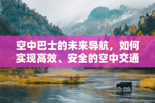 空中巴士的未来导航，如何实现高效、安全的空中交通管理？
