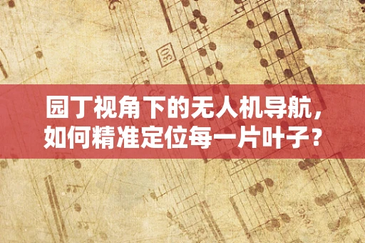 园丁视角下的无人机导航，如何精准定位每一片叶子？