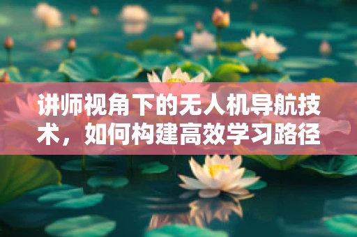 讲师视角下的无人机导航技术，如何构建高效学习路径？