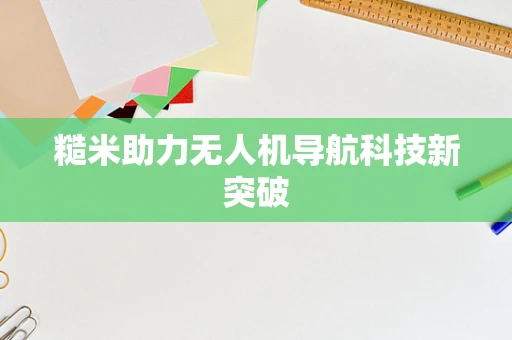 糙米助力无人机导航科技新突破