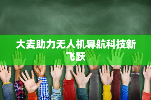 大麦助力无人机导航科技新飞跃