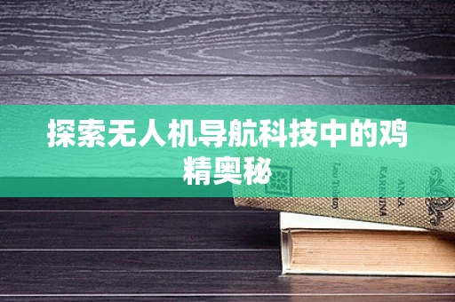 探索无人机导航科技中的鸡精奥秘