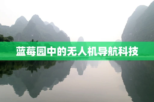 蓝莓园中的无人机导航科技