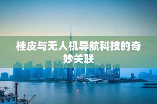 桂皮与无人机导航科技的奇妙关联