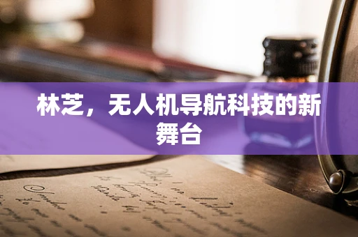 林芝，无人机导航科技的新舞台