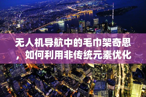无人机导航中的毛巾架奇思，如何利用非传统元素优化定位精度？