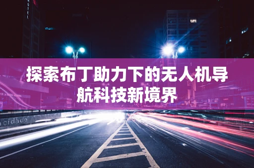 探索布丁助力下的无人机导航科技新境界