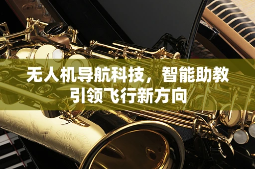 无人机导航科技，智能助教引领飞行新方向