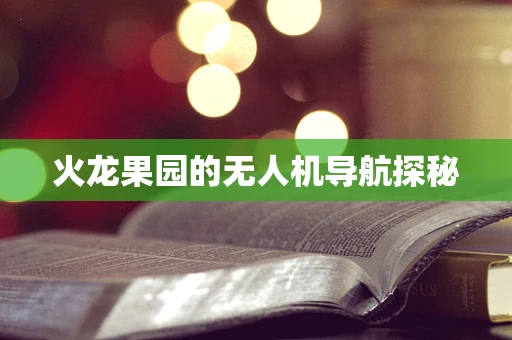 火龙果园的无人机导航探秘
