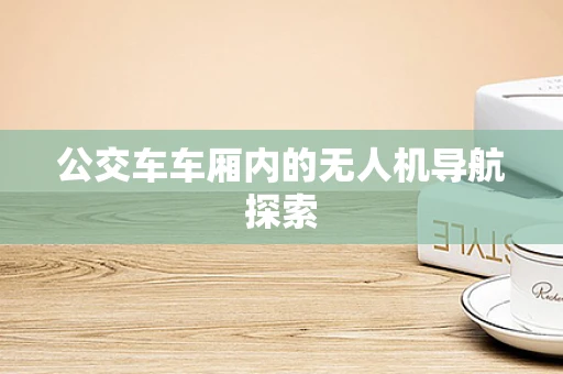 公交车车厢内的无人机导航探索