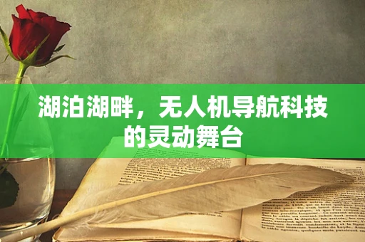 湖泊湖畔，无人机导航科技的灵动舞台