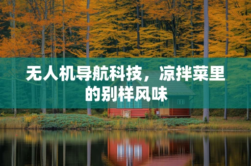 无人机导航科技，凉拌菜里的别样风味