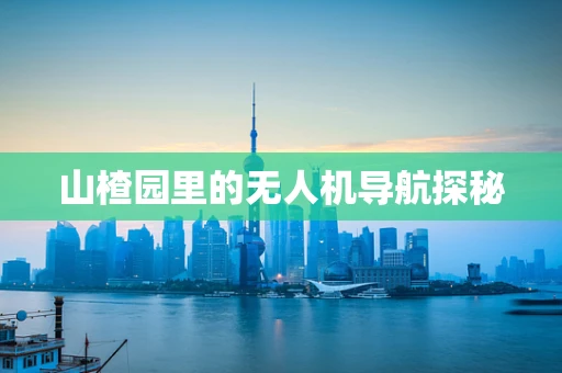 山楂园里的无人机导航探秘