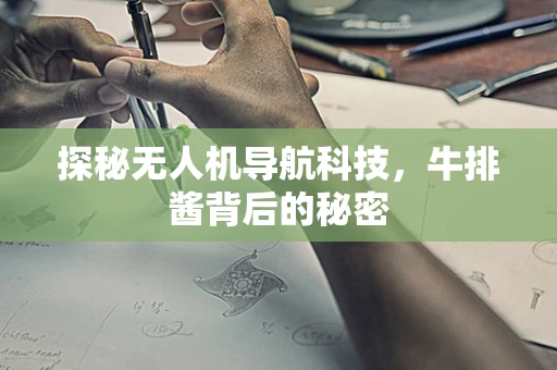 探秘无人机导航科技，牛排酱背后的秘密