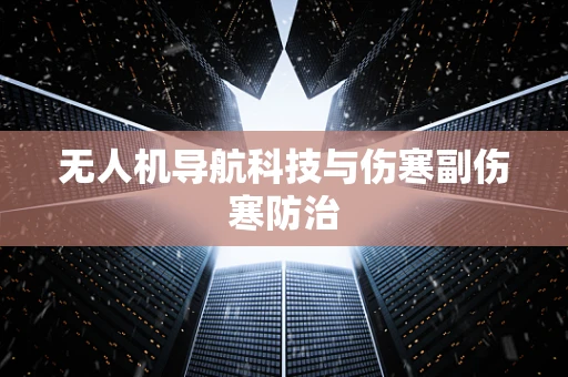 无人机导航科技与伤寒副伤寒防治
