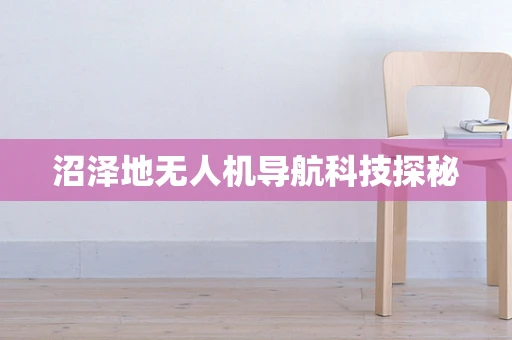 沼泽地无人机导航科技探秘