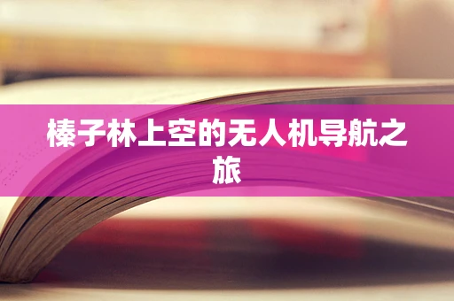 榛子林上空的无人机导航之旅
