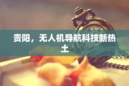 贵阳，无人机导航科技新热土