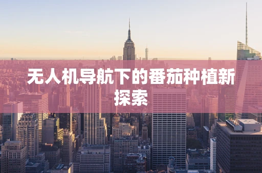 无人机导航下的番茄种植新探索