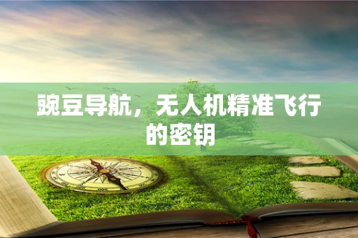 豌豆导航，无人机精准飞行的密钥