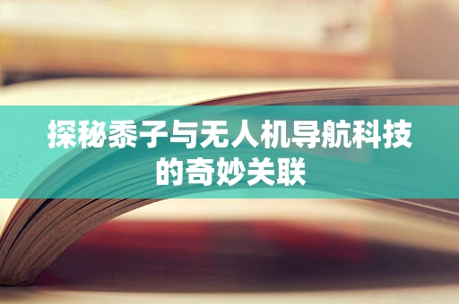 探秘黍子与无人机导航科技的奇妙关联