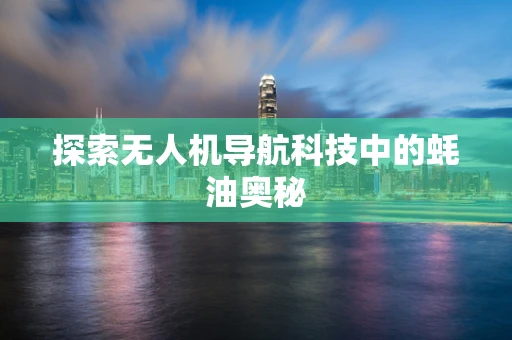 探索无人机导航科技中的蚝油奥秘
