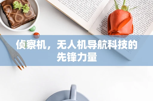 侦察机，无人机导航科技的先锋力量