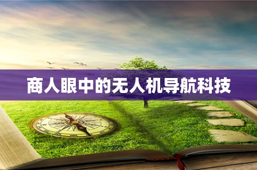 商人眼中的无人机导航科技