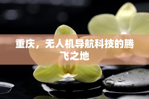 重庆，无人机导航科技的腾飞之地