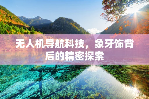 无人机导航科技，象牙饰背后的精密探索