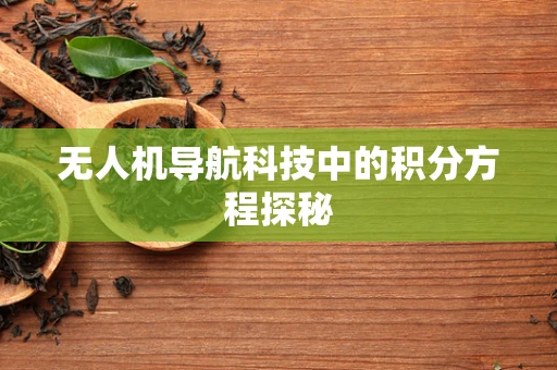 无人机导航科技中的积分方程探秘