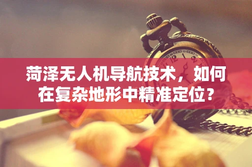 菏泽无人机导航技术，如何在复杂地形中精准定位？
