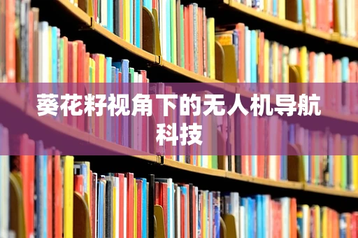 葵花籽视角下的无人机导航科技