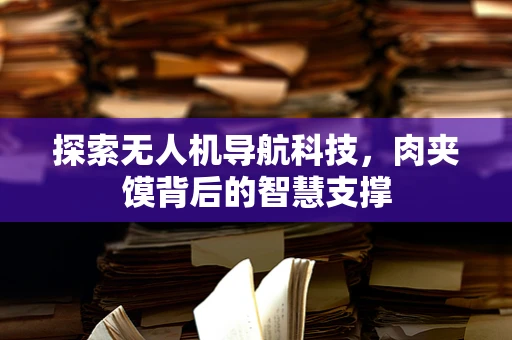 探索无人机导航科技，肉夹馍背后的智慧支撑