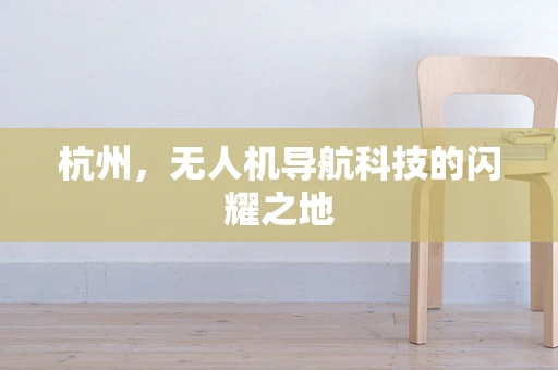 杭州，无人机导航科技的闪耀之地