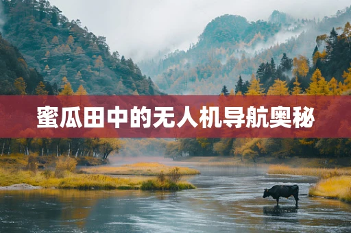 蜜瓜田中的无人机导航奥秘