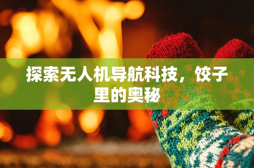 探索无人机导航科技，饺子里的奥秘