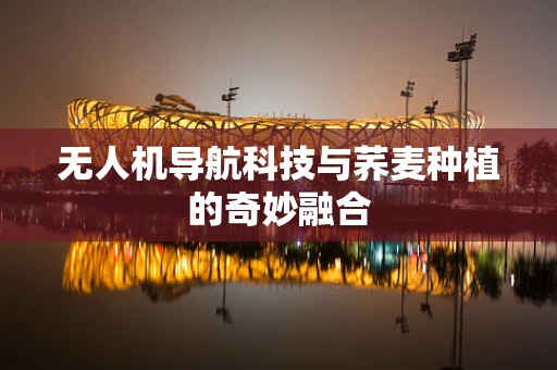 无人机导航科技与荞麦种植的奇妙融合