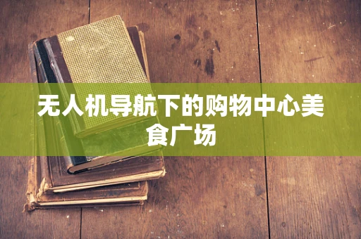 无人机导航下的购物中心美食广场