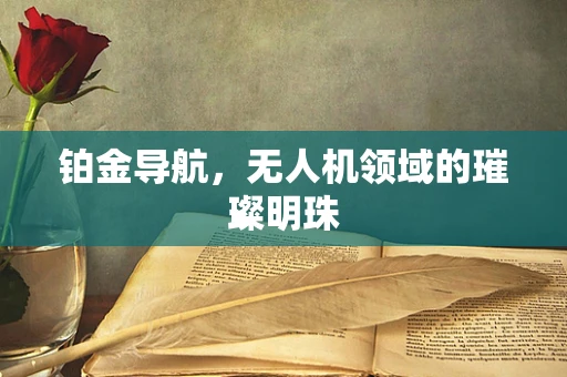 铂金导航，无人机领域的璀璨明珠