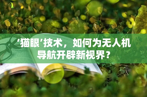 ‘猫眼’技术，如何为无人机导航开辟新视界？