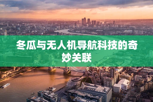 冬瓜与无人机导航科技的奇妙关联
